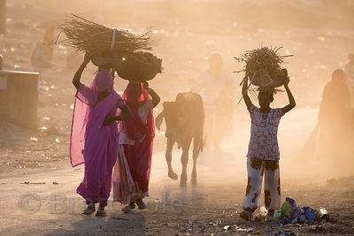 Women sweep up and burn garbage on a dusty desert road after the Pushkar Camel Fair, Pushkar, Rajasthan, India. Air pollution is an epidemic health crisis across India. India has the worst air pollution in the world, worse even than China, with Delhi the #1 worst city in the world.