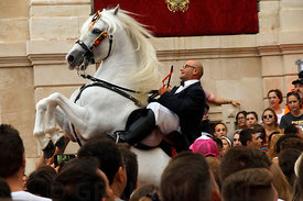 Traditional horse riders getting their horses to walk on their hind legs whilst brave people try to touch the heart of the horse or Jaleo as it is known locally. The people of Menorca are very proud of their horsemanship and display it at the anual festivals such as the Mare de Déu de Gràcia festival in Mahon or Mao as the locals call it.