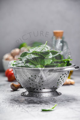 Spinach. Fresh organic spinach leaves in metal colander and healthy ingredients. Diet, dieting concept. Vegan food, healthy eating.