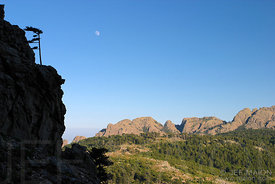 Forest and mountains from a distance