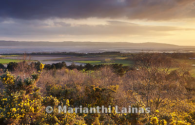 Dee Estuary from Thursaston (2)