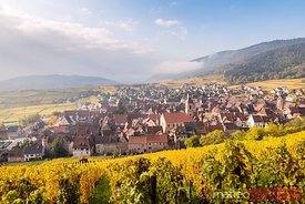 Vineyards and village in autumn, Alsace, France