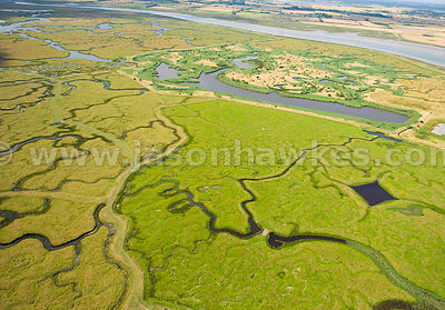 Marshes, Tollesbury Creek, Essex