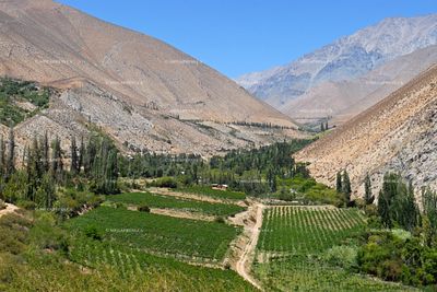 Chile
