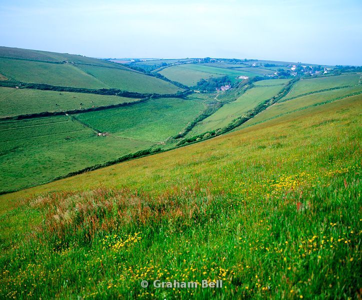 Graham Bell Photography fields near ringmore south hams south devon