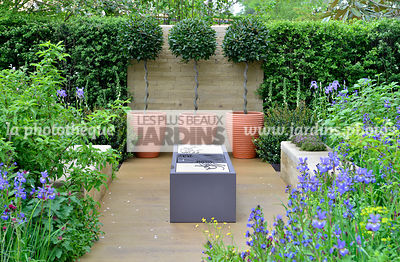 Petit jardin, urbain, Style champêtre contemporain : barbecue, potée : Laurus nobilis (laurier-sauce), sur tige, Paysagiste : Adam Frost, CFS, Angleterre