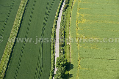 Fields near Wallington, Hertfordshire