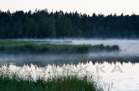 Kesäyön usvaa Heikinjärvellä