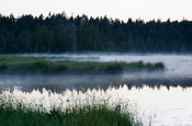 Kesäyön usvaa Heikinjärvellä