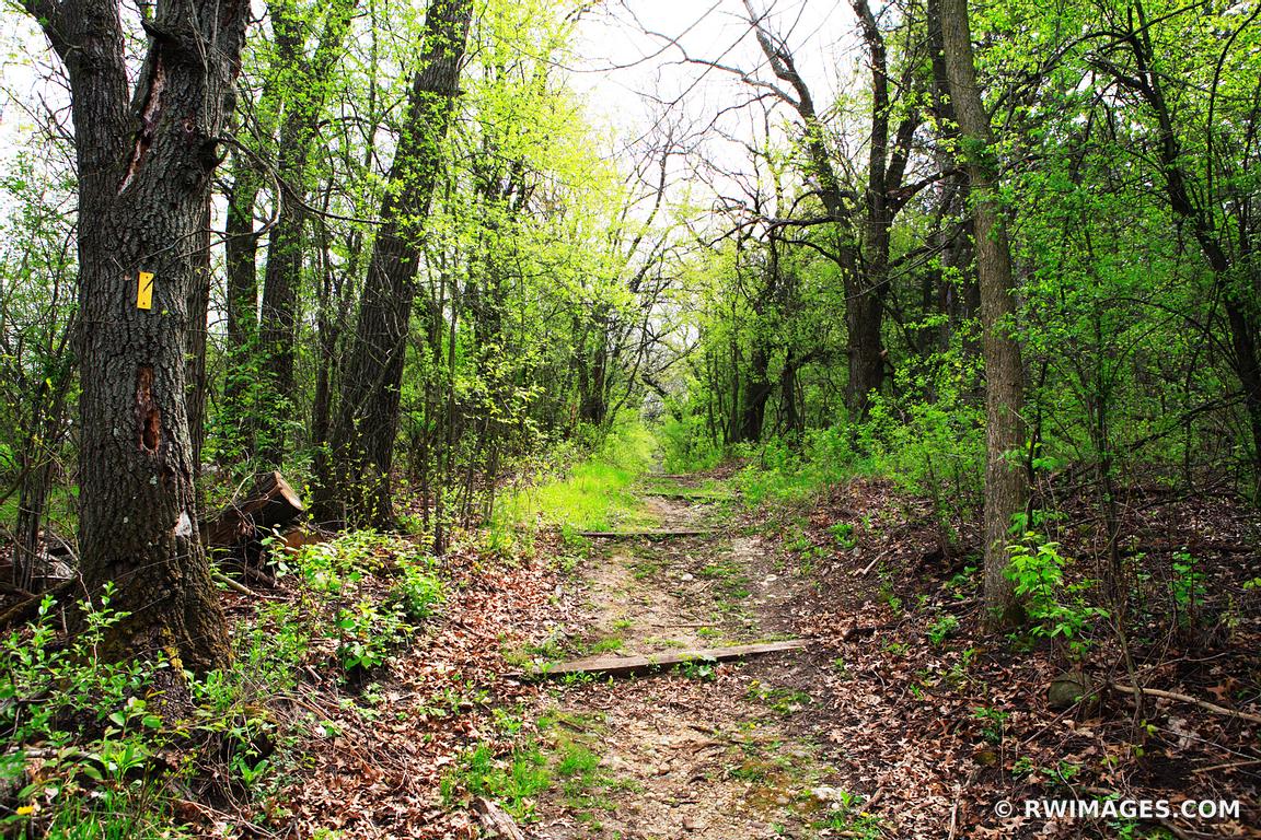 Framed Photo Print of KETTLE MORAINE FOREST WISCONSIN Print Picture