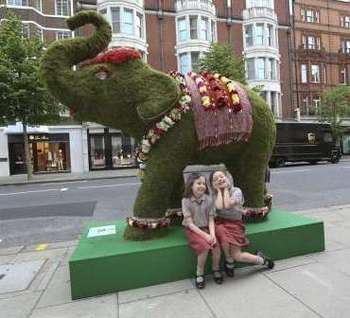 Young elephant fans on Sloane Street