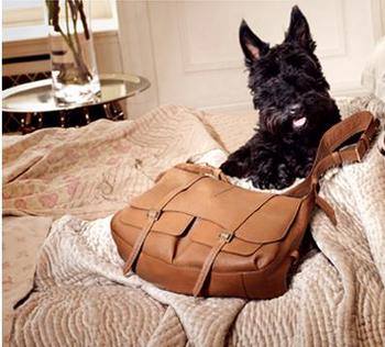Radley bag shop Kings Road London