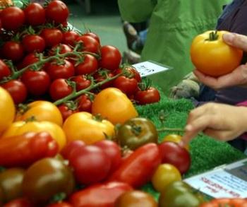 London Farmers Market Parsons Green Fulham
