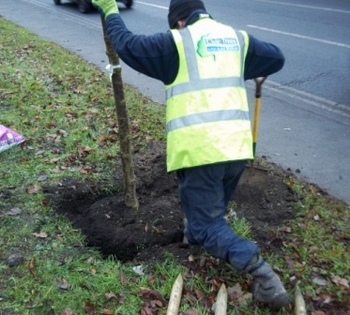 Tree planting campaign Fulham