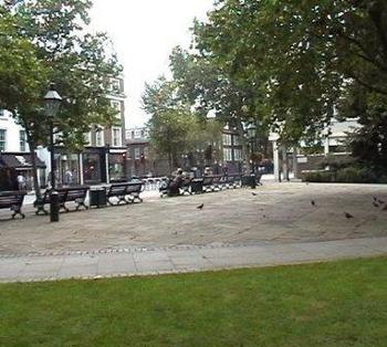 Dovehouse Green Chelsea