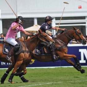 MINT Polo in the Park