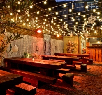 The Elk winter Garden Fulham