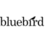 Bluebird_2_