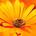 Go to Joy's profile