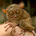 Go to nestealou's profile