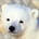 Go to snpfx's profile