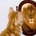Go to patos1's profile