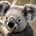 Go to don555's profile