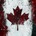 Go to TeamCanada's profile