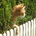 Go to Sailor_Fx's profile