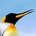 Go to jdogg4000's profile