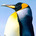 Go to oetjoep's profile