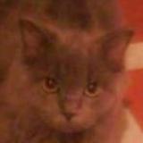 Go to pupuobinski's profile