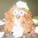 Go to dsho's profile