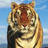 Go to RazorX's profile