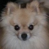 Go to malek104's profile