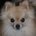 Go to malek104's profile