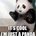 Go to butandingpanda's profile
