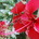 Go to meihuilin's profile