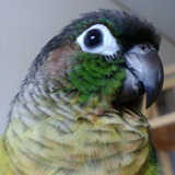 Go to Taratata's profile