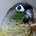 Go to Taratata's profile