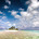 Go to Beachallstar's profile