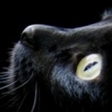 Go to philsorin14's profile