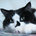 Go to cklaw903's profile