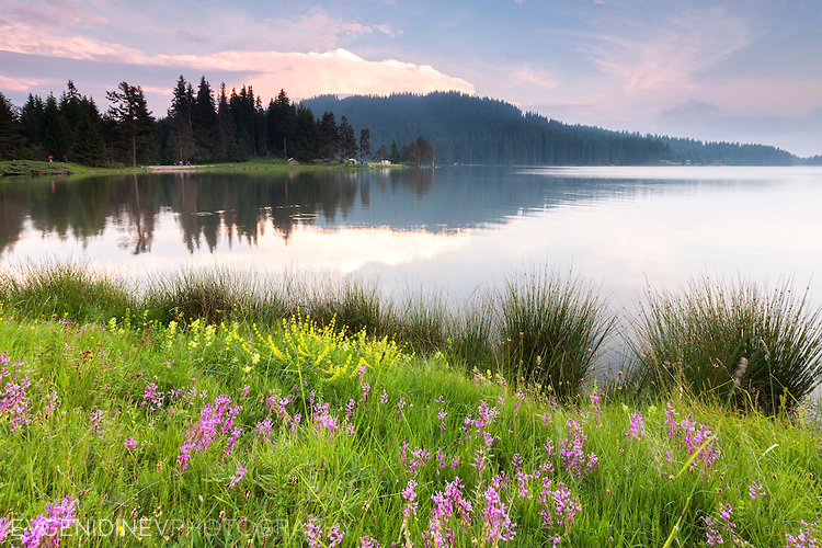 Shiroka Polyana lake in June