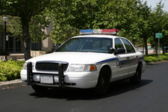 Secondary_photo