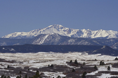 Secondary_photo