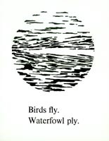 Birds fly. Waterfowl ply.