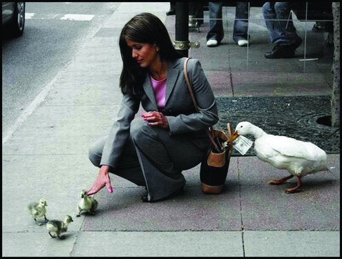 A CONSTANT OF FEELINGS