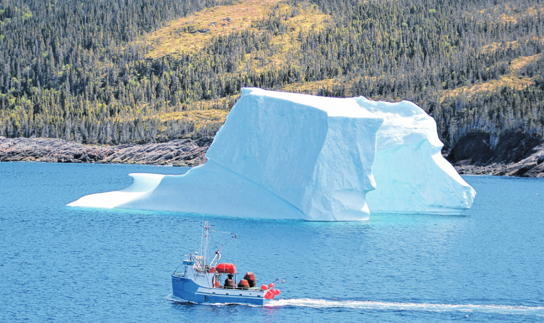 Last year an abundance of icebergs extended the tourism season. This year circumstances are quite different. - File