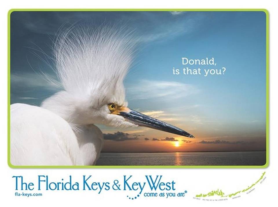 Crédit: The Florida Keys & Key West
